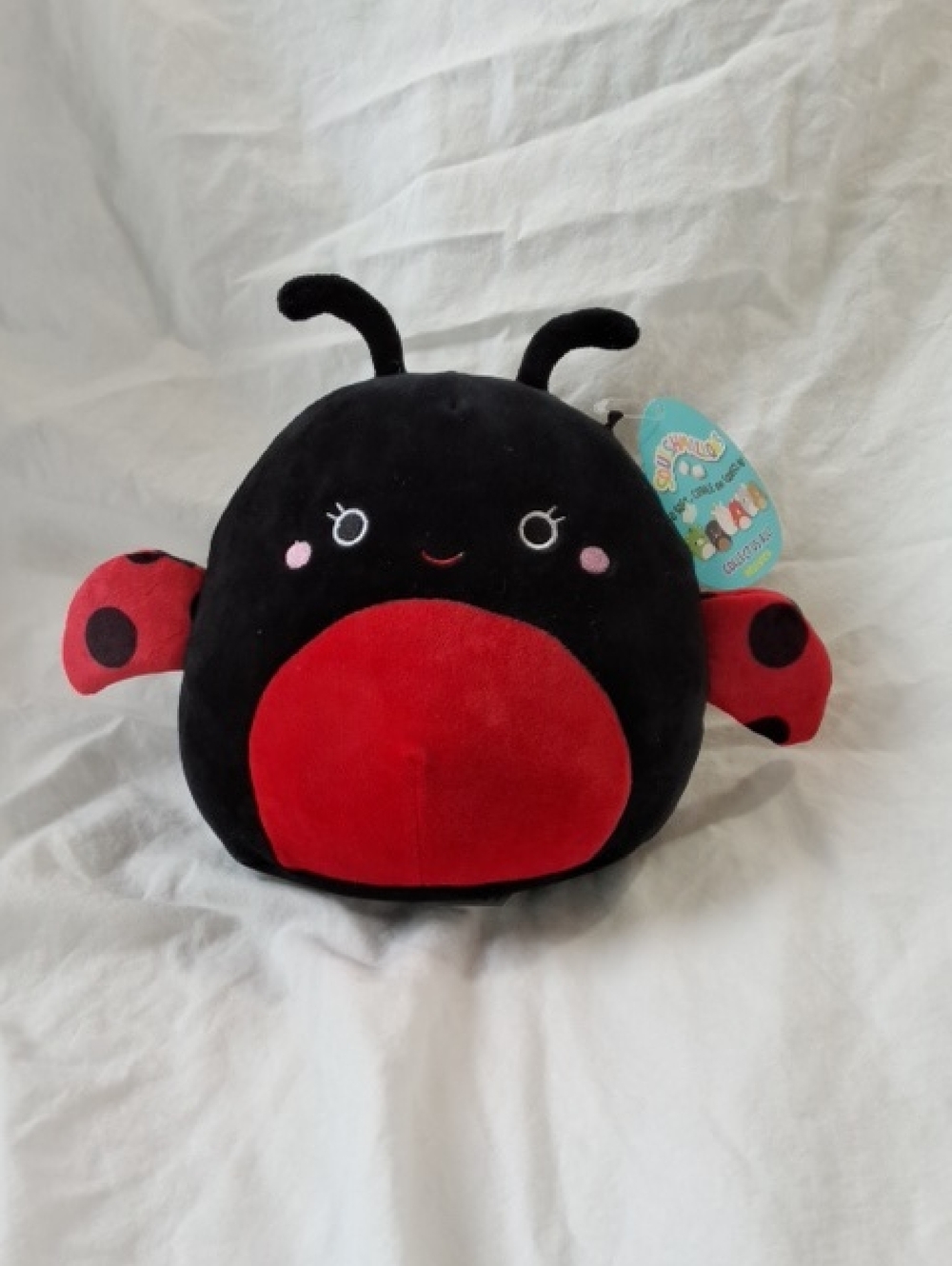 Squishmallows Trudy The Ladybug, 8", NWT